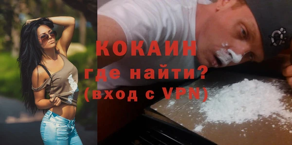 гидра Богданович