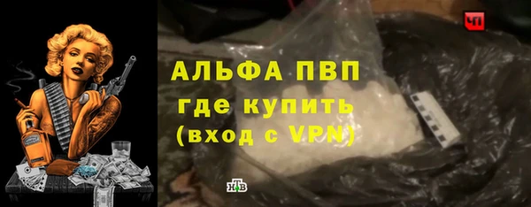 гидра Богданович