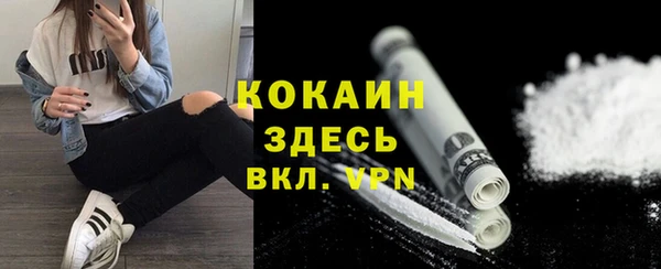 гидра Богданович