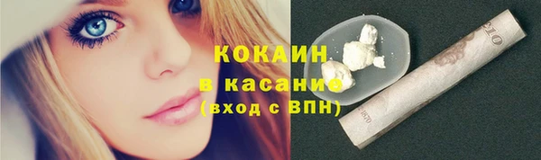 тгк Богородицк