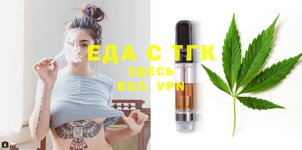 тгк Богородицк