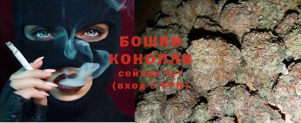 гидра Богданович