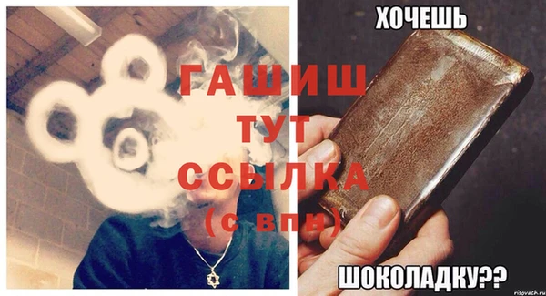 гидра Богданович