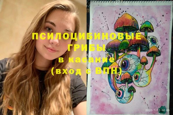гидра Богданович