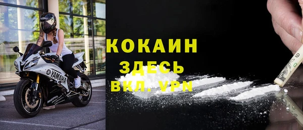 тгк Богородицк