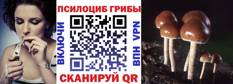 Галлюциногенные грибы MAGIC MUSHROOMS  Купить закладки  Опочка 